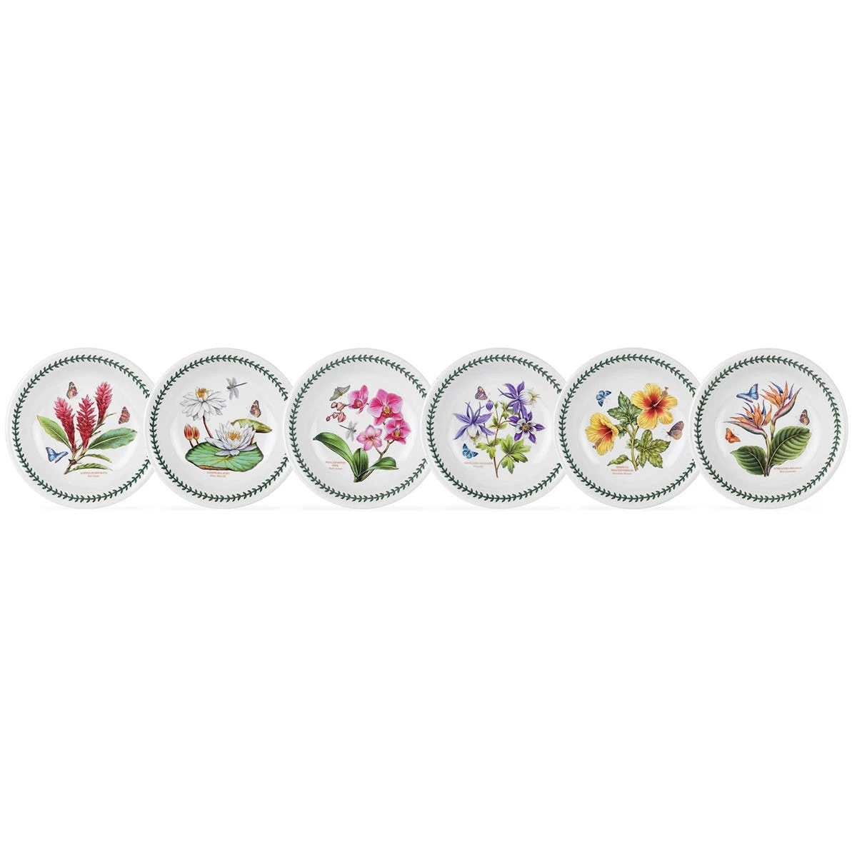 Exotic Botanic Garden Set Of 6 Pasta Bowls