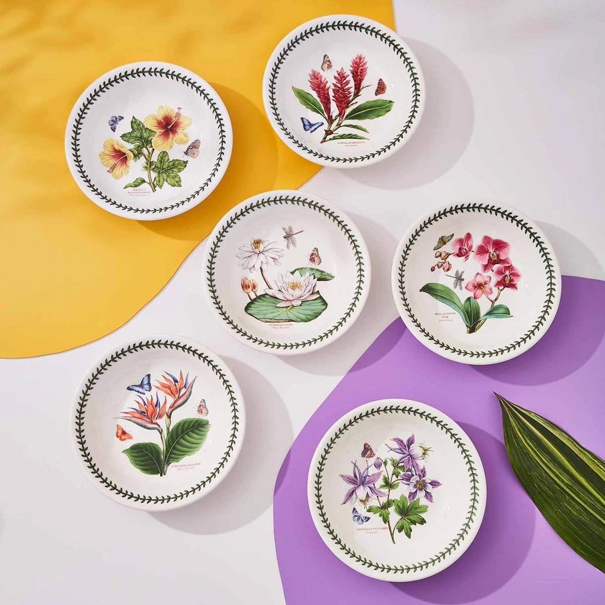Exotic Botanic Garden Set Of 6 Pasta Bowls - Image 2