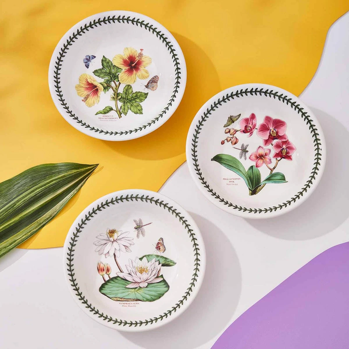 Exotic Botanic Garden Set Of 6 Pasta Bowls - Image 3